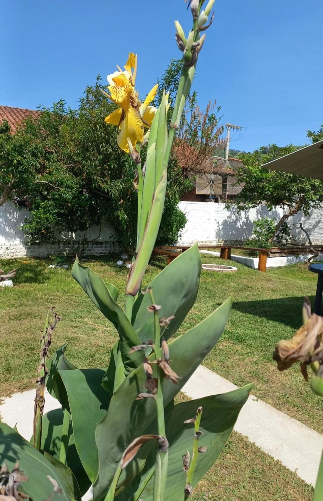 Casinha Verde Passa Quatro Exterior foto